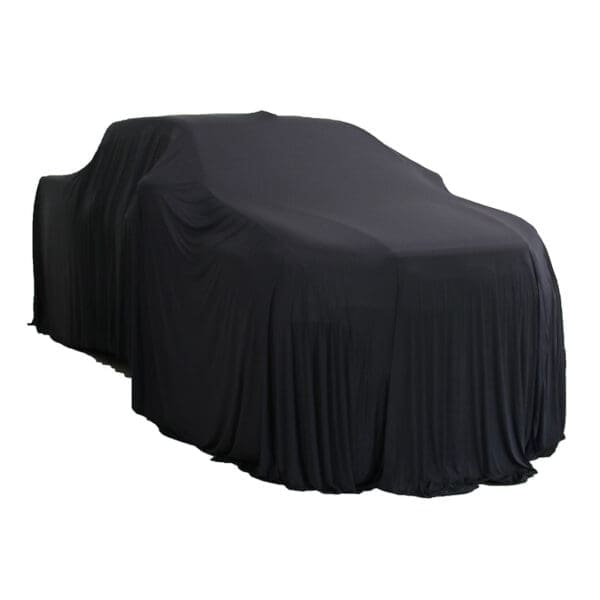 Large on Toyota HiLux