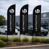 Leap Motor Flags8