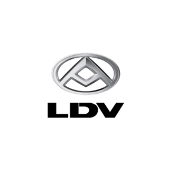 ldv LOGO